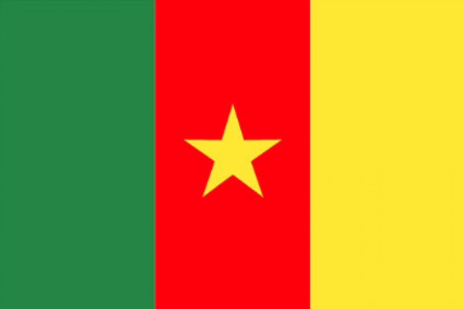 Meeting Urgence contre la dictature au Cameroun !